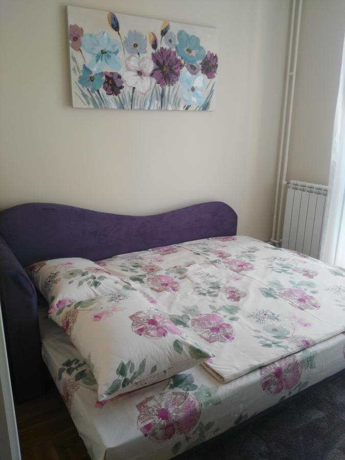 Vlado Apartment Belgrad Zewnętrze zdjęcie