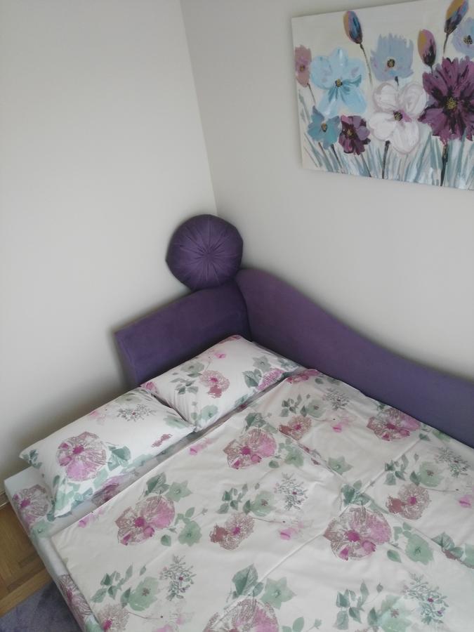Vlado Apartment Belgrad Zewnętrze zdjęcie